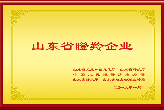 研發(fā)成果? 研發(fā)成果?